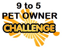 9 to 5 Pet Owner Challenge