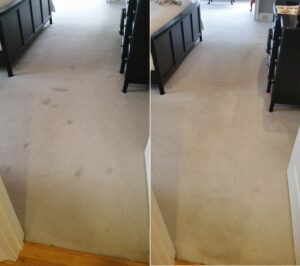 Grayson GA Carpet Cleaning