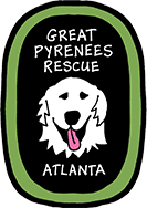 Great Pyrenees Atlanta Rescue