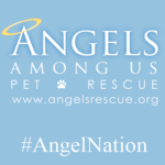 Angles Among Us Pet Rescue