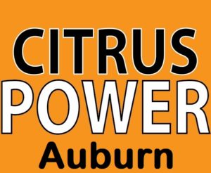 Citrus Carpet Cleaning Auburn GA
