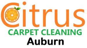 Citrus Carpet Cleaning Auburn GA