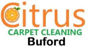 Best Carpet Cleaner Buford GA