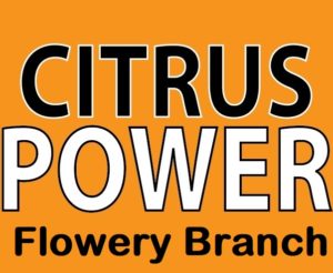 Best Carpet Cleaner Flowery Branch GA