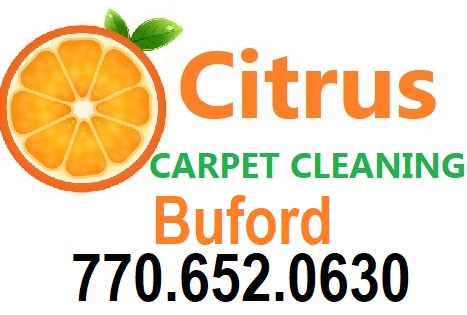 Carpet Cleaning Duluth GA's