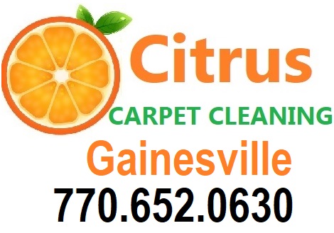 Professional Carpet Cleaning Gainesville GA