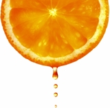 Citrus Carpet Cleaning Suwanee GA